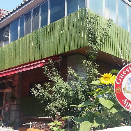 Appletree Guesthouse